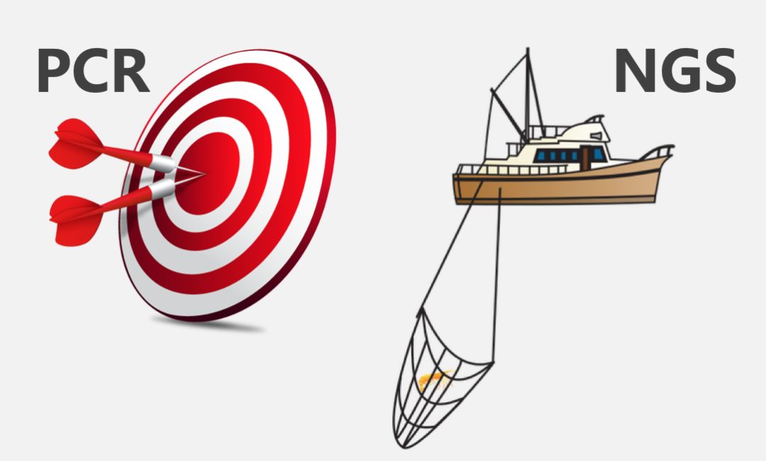 男性不育患者为什么需要基因检测?(图4)